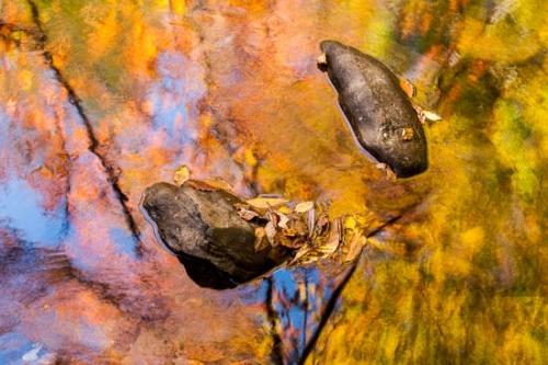 Abstract;Abstraction;Autumn;Blue;Close-up;Fall;Gold;Great Smoky Mountains National Park;Green;Lake;Line;Mirror;Oneness;Orange;Oriental;Pastoral;Pattern;Peaceful;Red;Reflection;Reflections;River;Rock;Rocks;Seasons;Shape;Stone;Stones;Stream;Tan;Tennessee;Texture;United States;Wabi Sabi;Water;Yellow;zen